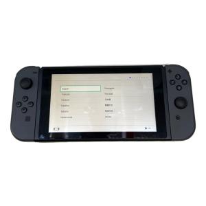 Nintendo (ニンテンドウ) Nintendo Switch HAC-001 Joy-Conストラップ・セーフティガイド・箱欠品