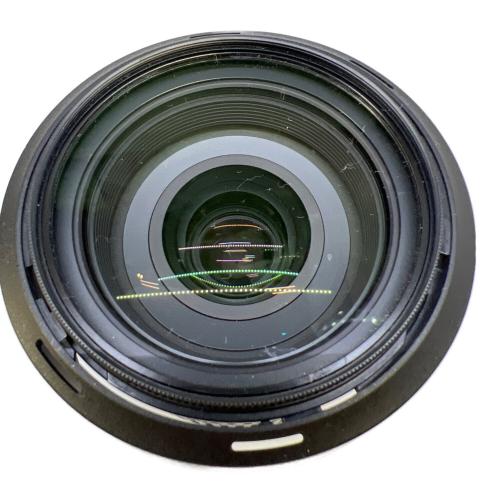 Nikon (ニコン) ズームレンズ SWM VR ED IF Aspherical