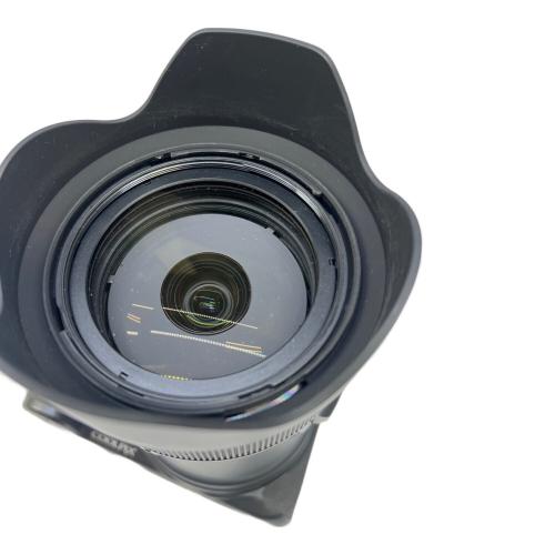 Nikon (ニコン)  COOLPIX P1000