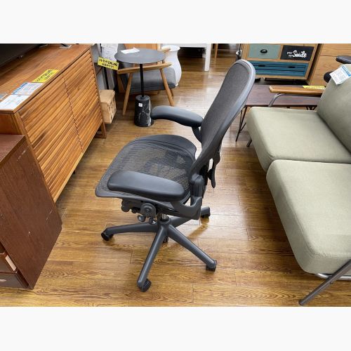 Herman Miller (ハーマンミラー) アーロンチェア スタンダード固定アーム PJG1BBBK3D01 AE113PWB-0004