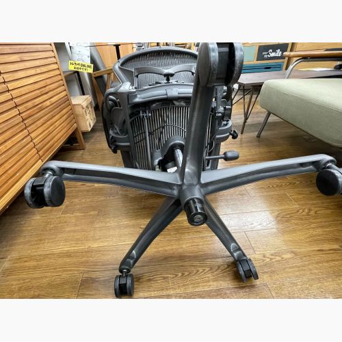 Herman Miller (ハーマンミラー) アーロンチェア スタンダード固定アーム PJG1BBBK3D01 AE113PWB-0004