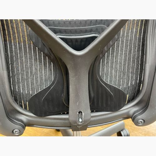 Herman Miller (ハーマンミラー) アーロンチェア スタンダード固定アーム PJG1BBBK3D01 AE113PWB-0004