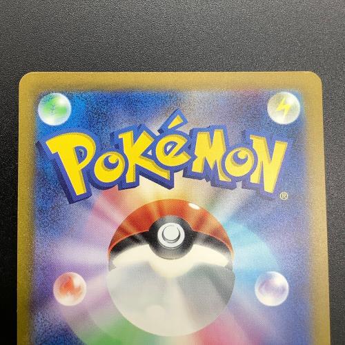 エリカの招待 206/165 SAR ポケモンカード