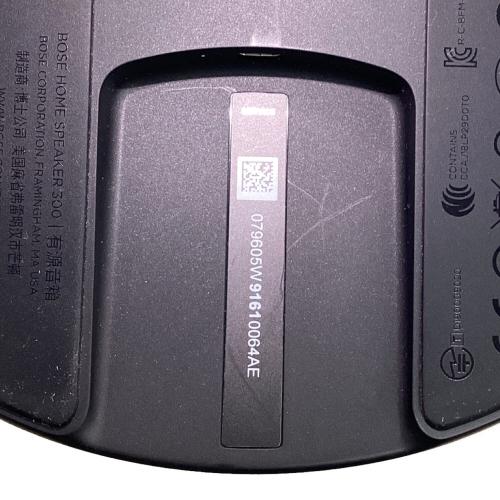 HOME SPEAKER 300