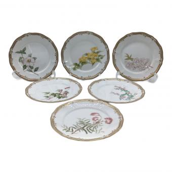 Noritake (ノリタケ) GALA CONTESSA（ガラコンテッサ）18cmケーキ皿 6Pセット