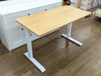 FLEXISPOT (フレキシ スポット) 電動昇降デスク ナチュラル E9
