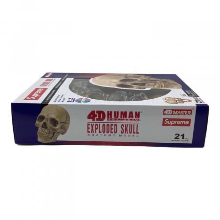 Supreme(シュプリーム) 4D Model Human Skull（4D モデル ヒューマン