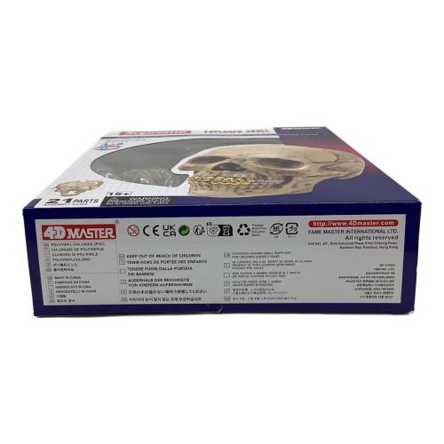 Supreme(シュプリーム) 4D Model Human Skull（4D モデル ヒューマン スカル）