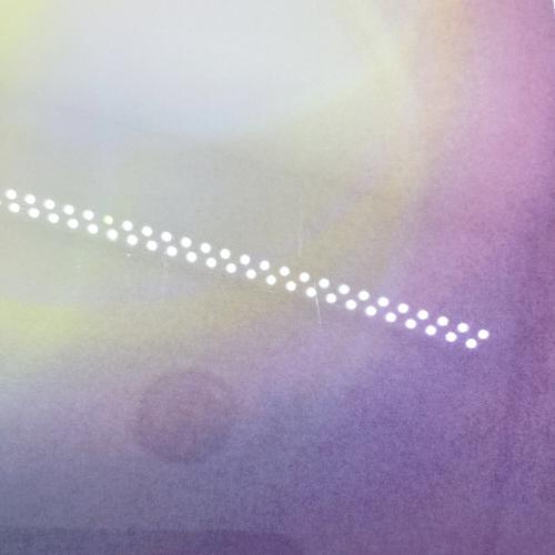 ChieArt (チエアート) 額 Maria Rose 52/100