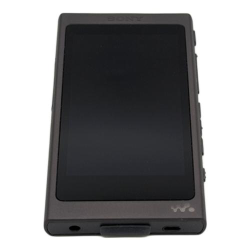 SONY(ソニー) WALKMAN A40シリーズ NW-A45