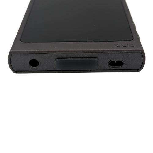 SONY(ソニー) WALKMAN A40シリーズ NW-A45