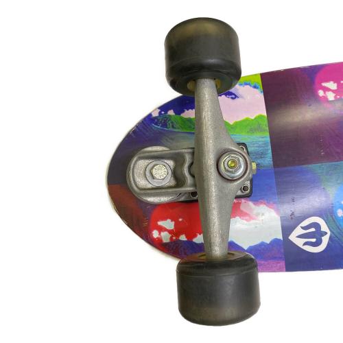 CARVER (カーバー) サーフスケートボード マルチカラー