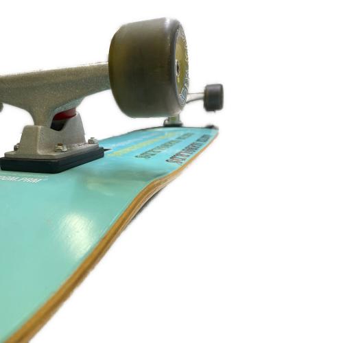 CARVER (カーバー) スケートボード スカイブルー