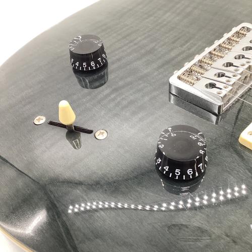 Paul Reed Smith (ポール リード スミス) PRS SE SVN エレキギター 2017年製