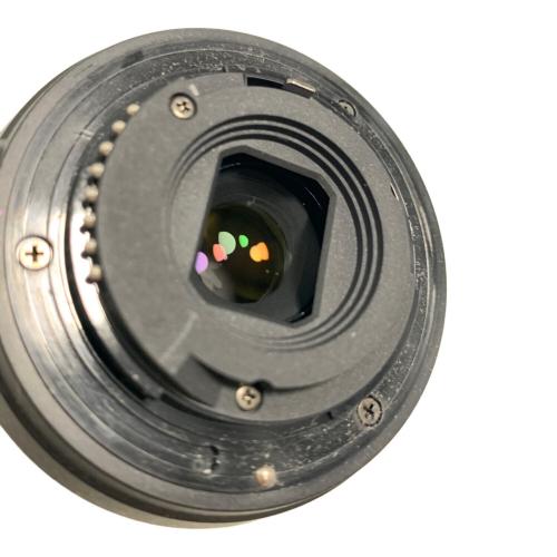 Nikon (ニコン) レンズ AF-P NIKKOR 70-300mm