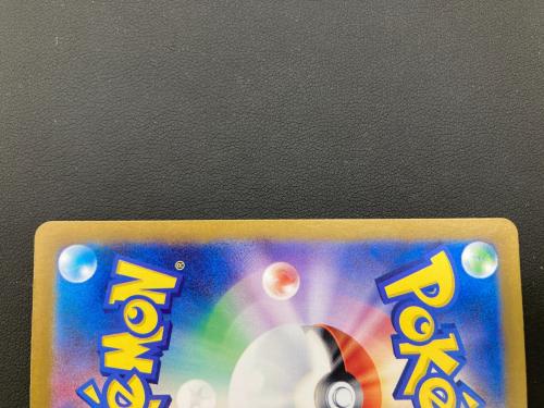 フシギバナex ポケモンカード 200/165 SAR