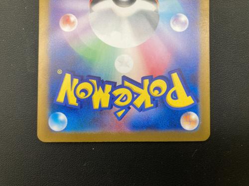 リザードンex ポケモンカード 201/165 SAR