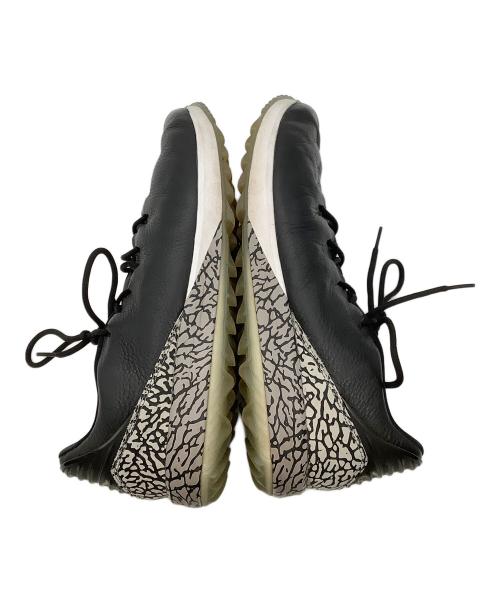 NIKE GOLF (ナイキゴルフ) ゴルフシューズ JORDAN ADG