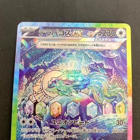 テラパゴスex ポケモンカード 130/102 SAR｜トレファクONLINE