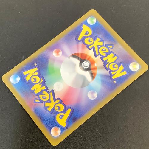 テラパゴスex ポケモンカード 130/102 SAR