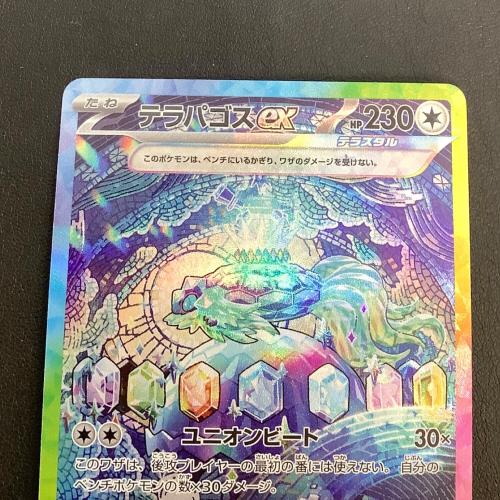 テラパゴスex ポケモンカード 130/102 SAR
