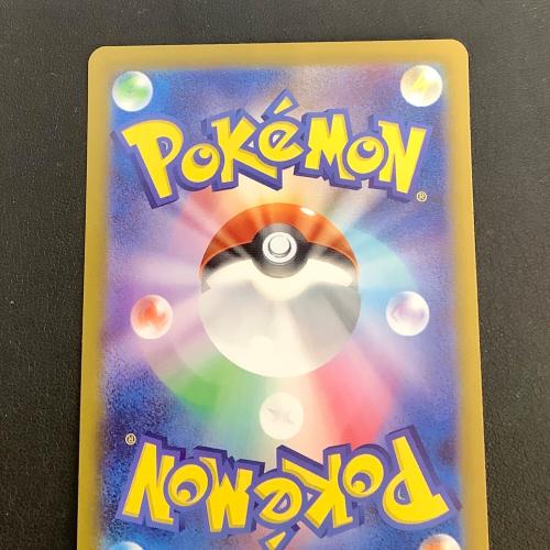 テラパゴスex ポケモンカード 130/102 SAR