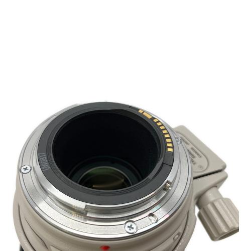 CANON (キヤノン) 望遠ズームレンズ EF100-400ｍｍ f/4.5-5.6L IS USM