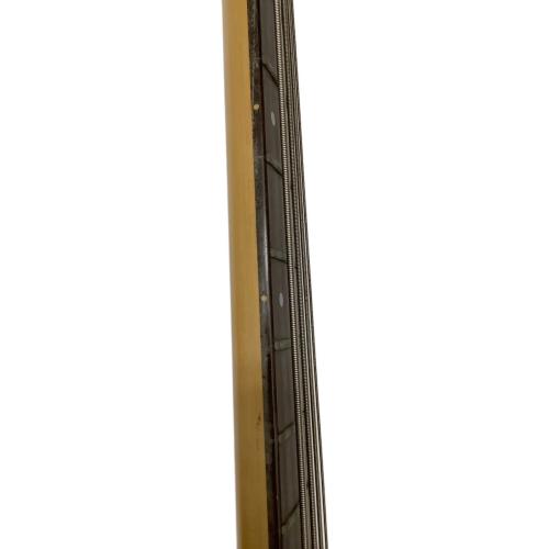 Washburn (ワッシュバーン) KIP WINGER  SIGNATURE MODEL ジャズベース エレキベース