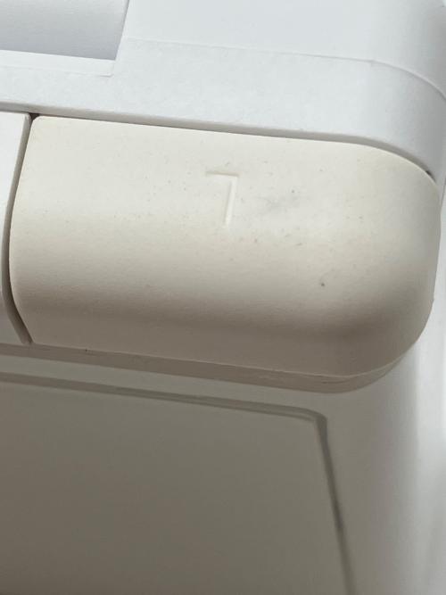 Nintendo (ニンテンドー) NintendoDSLite ポケモンだいすきクラブ 夏休み大作戦！2008抽選モデル 5台限定 ヒコザルだいすき！バージョン