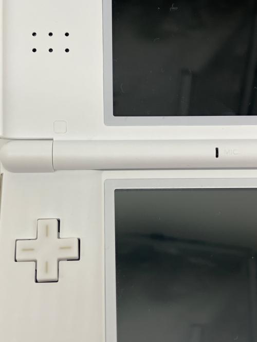 Nintendo (ニンテンドー) NintendoDSLite ポケモンだいすきクラブ 夏休み大作戦！2008抽選モデル 5台限定 ヒコザルだいすき！バージョン