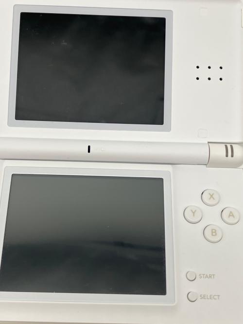 Nintendo (ニンテンドー) NintendoDSLite ポケモンだいすきクラブ 夏休み大作戦！2008抽選モデル 5台限定 ヒコザルだいすき！バージョン