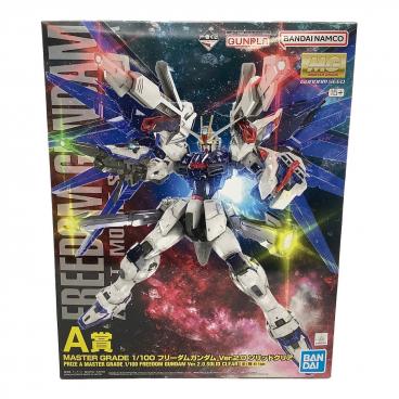 BANDAI (バンダイ) 1/100 MG エールストライクガンダム Ver.RM