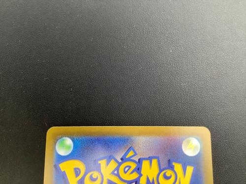 ポケモンカード プテラV 106/100 SR