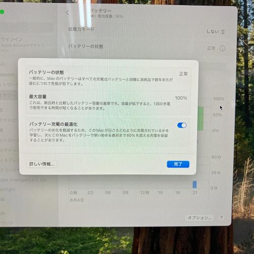 Apple (アップル) MacBook Air M4 2025 A3240 バッテリ状態100％/@ 13.6インチ