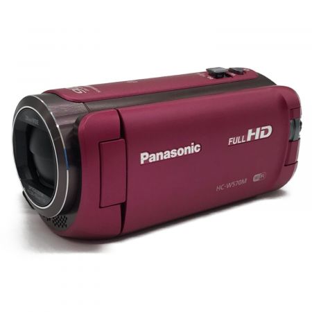 Panasonic (パナソニック) デジタルビデオカメラ 251万画素 フルハイビジョン対応 32GB HC-W570M DL5CA001529
