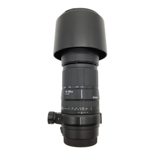 望遠レンズ SIGMA APO 170-500mm F/5-6.3 キャノン - カメラ