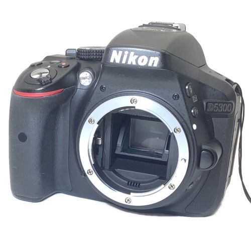 Nikon (ニコン) デジタル一眼レフカメラ 145 D5300 2348756 