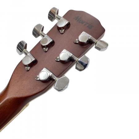 Morris アコースティックギター ドレッドノート MORRIS M-023 MH アコースティックギター初心者12点セット