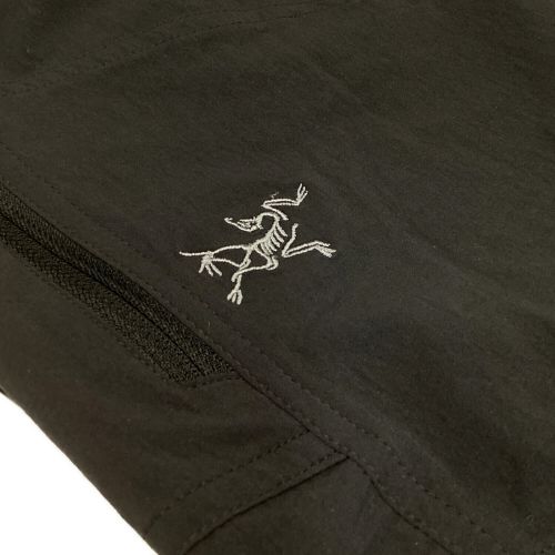 ARC'TERYX (アークテリクス) CRONIN PANT メンズ SIZE 81cm (W32) ブラック 直営店限定モデル X0000077000