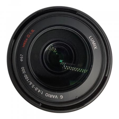 Panasonic H-FS100300 ズームレンズ 100-300mm Panasonic (パナソニック) ズームレンズ LUMIX G VARIO H-FS100300 100