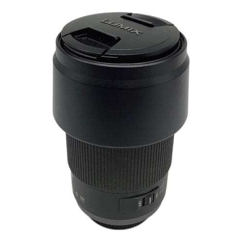 Panasonic (パナソニック) ズームレンズ LUMIX G VARIO H-FS100300 100-300mm F4.0-5.6 -