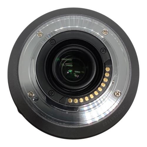 Panasonic (パナソニック) ズームレンズ LUMIX G VARIO H-FS100300 100-300mm F4.0-5.6 -