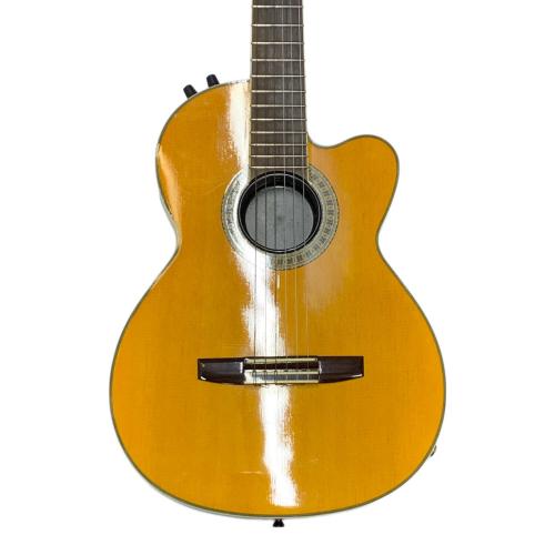 FERNANDES (フェルナンデス) エレガットギター CHET ATKINS