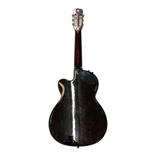 FERNANDES (フェルナンデス) エレガットギター CHET ATKINS