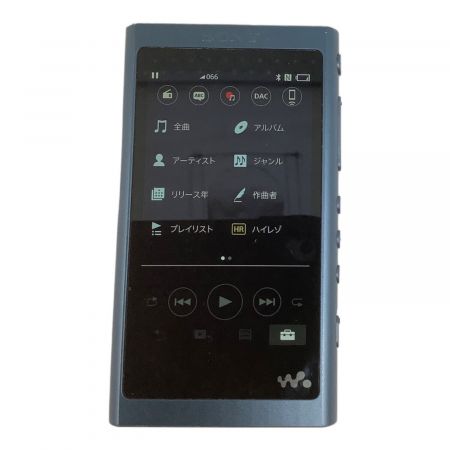 SONY (ソニー) デジタルオーディオプレーヤー NW-A55HN WALKMAN