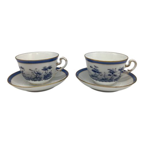 RICHARD GINORI (リチャードジノリ) カップ&ソーサー ミュージオパストラーレ 2Pセット