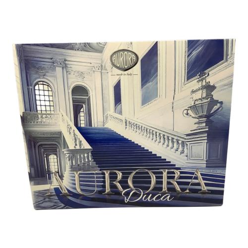 AURORA (アウロラ) 万年筆 ブルー @ DUCA