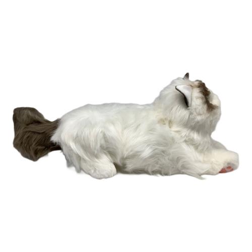 セガ ヌイグルミ KIMIT ラグドール｜トレファクONLINE