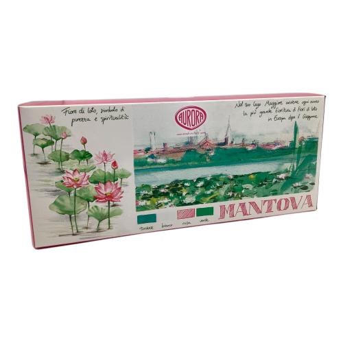 AURORA (アウロラ) 文房具 ピンク×スカイブルー 888-VMN MANTOVA