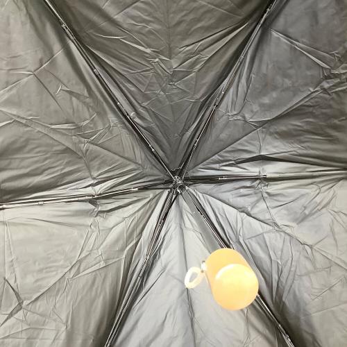 DISNEY (ディズニー) 折りたたみ傘 ダッフィー ディズニーグッズ